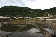 田植え準備