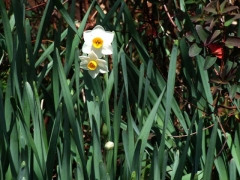 中尾城公園にて