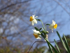 中尾城公園にて