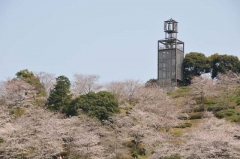 中尾城公園にて