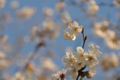 中尾城公園にて