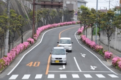 南陽台にて