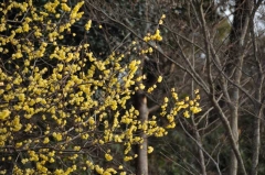 中尾城公園にて