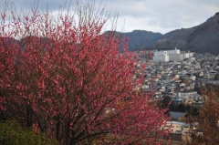 中尾城公園にて