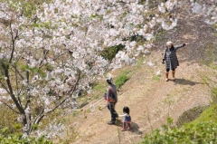 中尾城公園