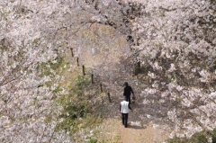 中尾城公園④