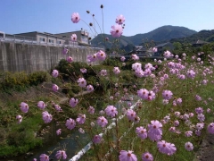 池泉あたりにて