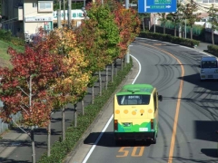 高田小学校付近