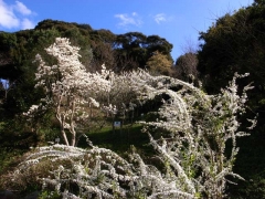 中尾城公園にて