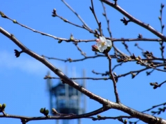 中尾城公園にて２