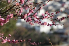 中尾城公園にて