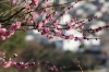 中尾城公園にて