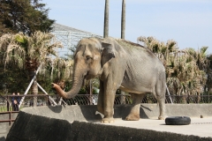 石岳動植物園