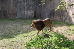 石岳動植物園